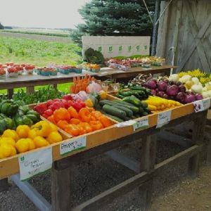 img_0724