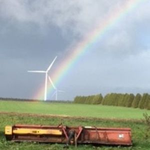 rainbow