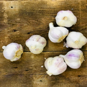 Garlic