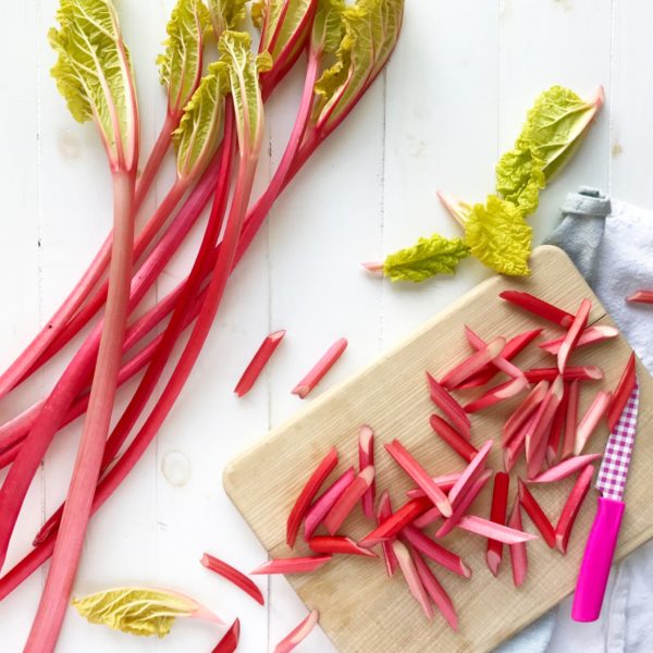 From the Field Workshop - Forced Rhubarb - Image 4